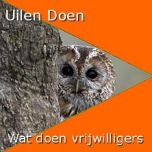 Uilen-vrijwilligers-290-1