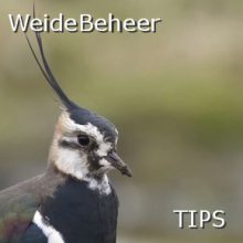 Weidetips-290-1