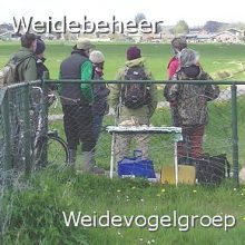 Weidevogelgroep-290_1b