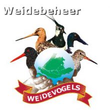 Weidevogels-290